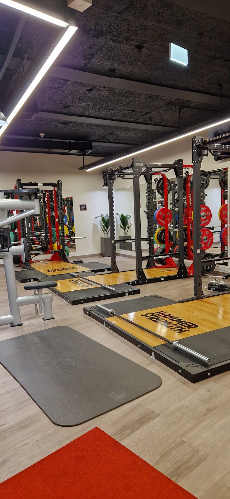 ISC Gym Fitnesscenter Wien