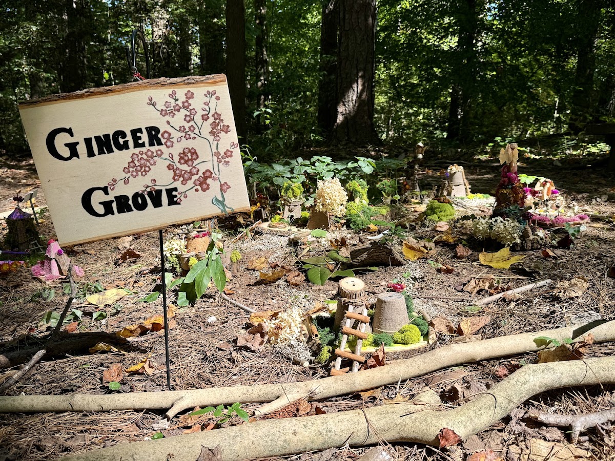 Woodlands Garden