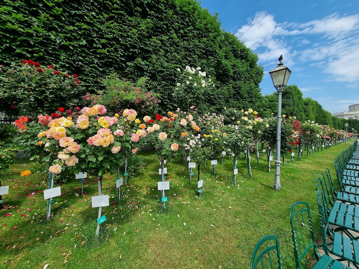 Volksgarten