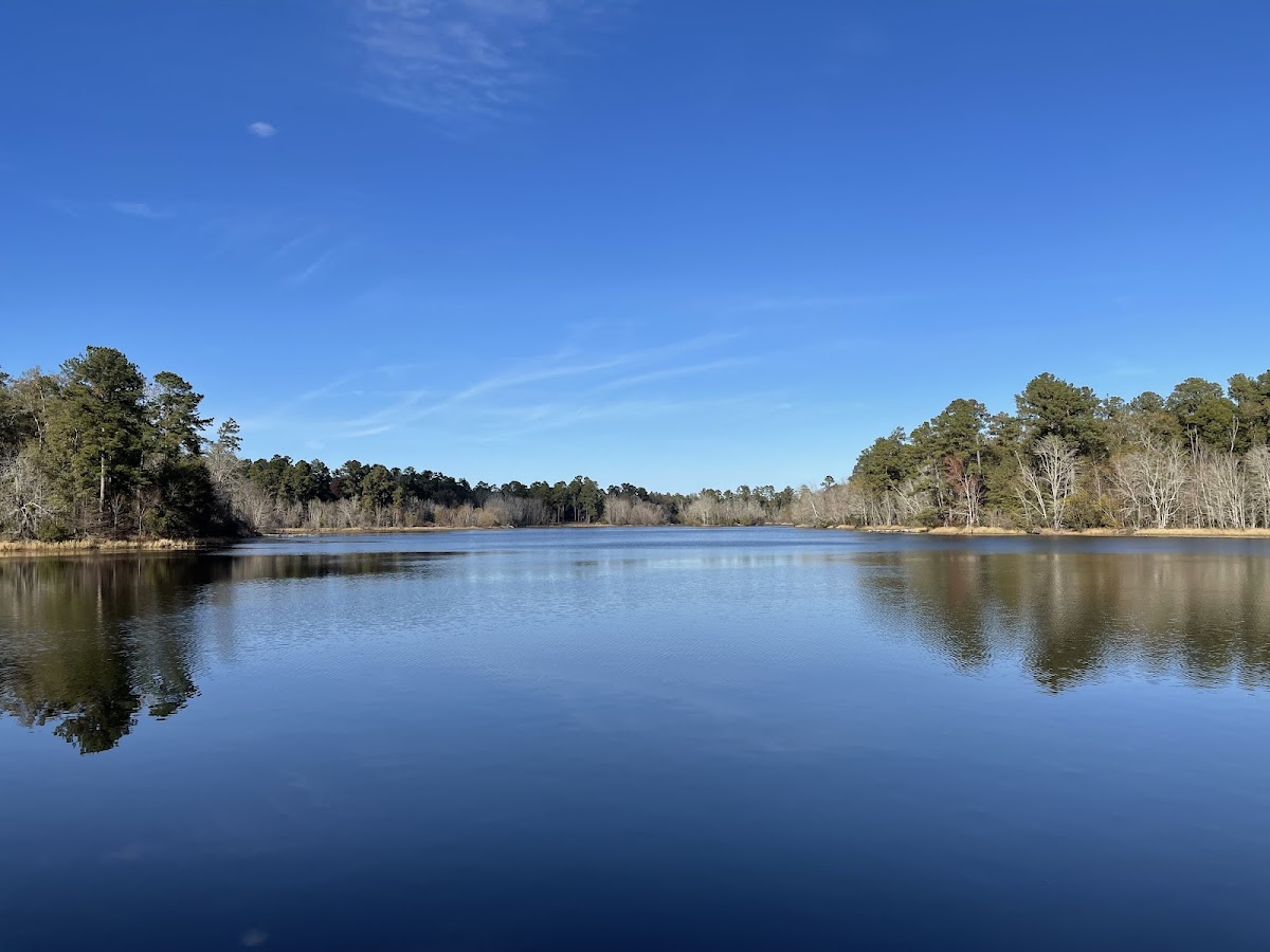 Magnolia Springs State Park