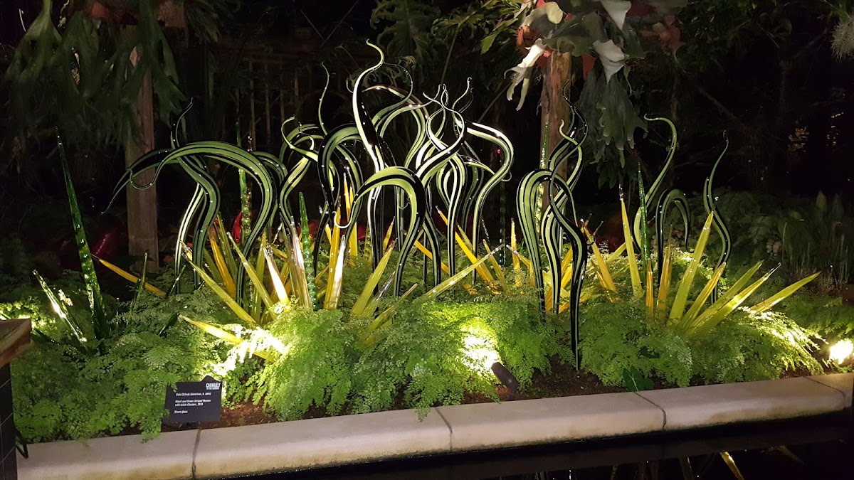 Dorothy Chapman Fuqua Conservatory