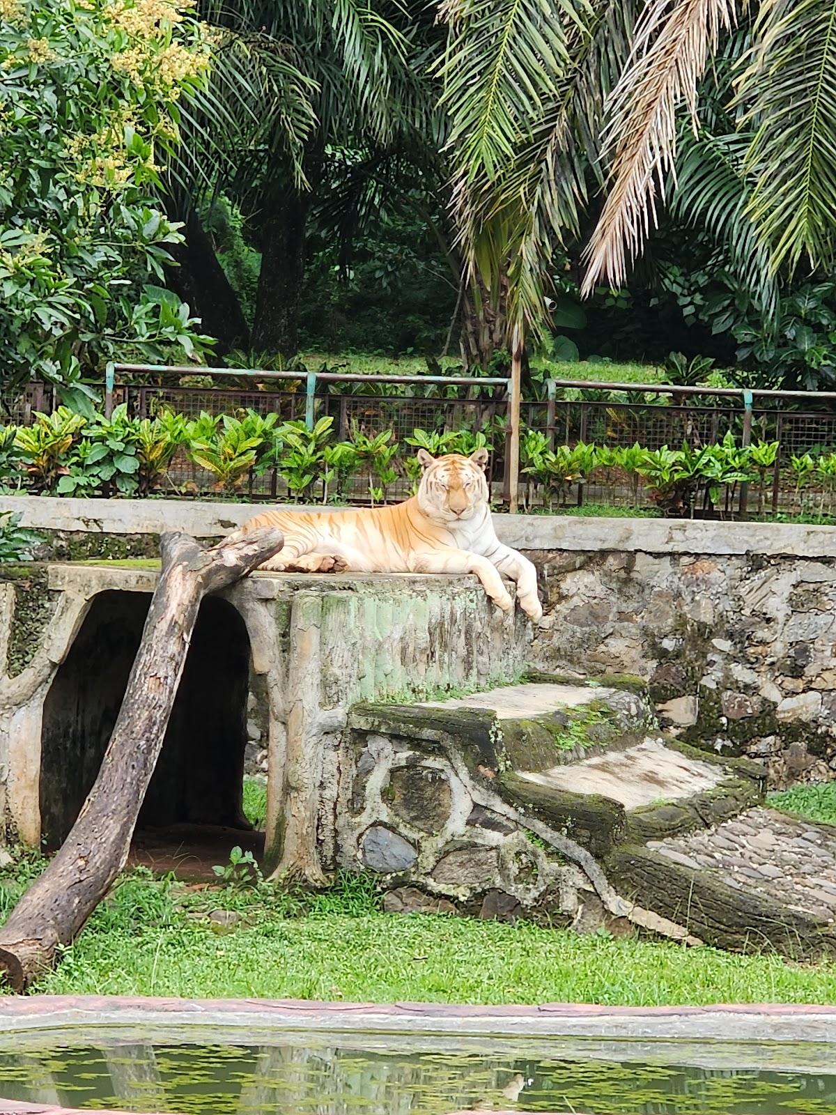 Ragunan Zoo