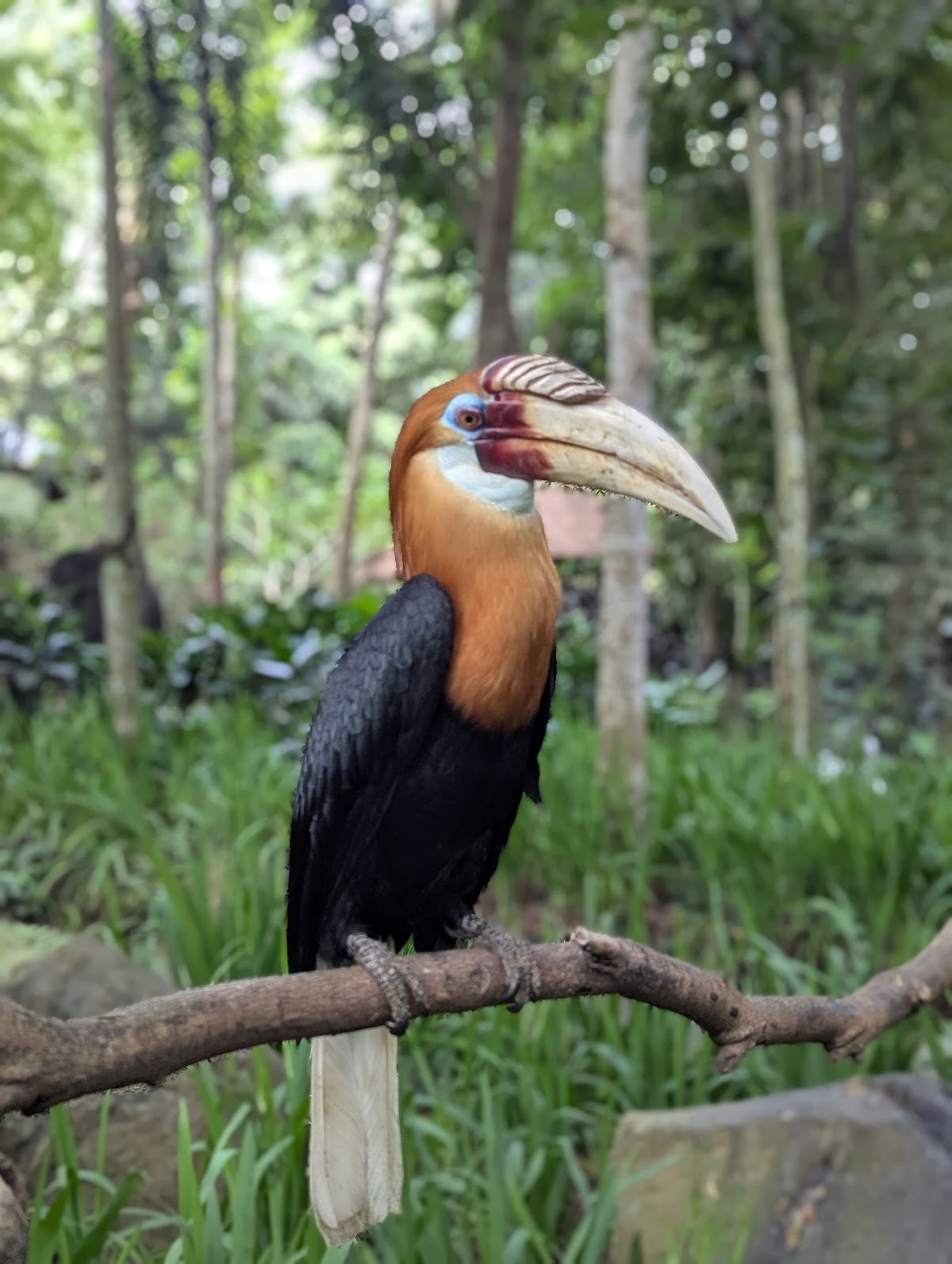 Lombok Wildlife Park