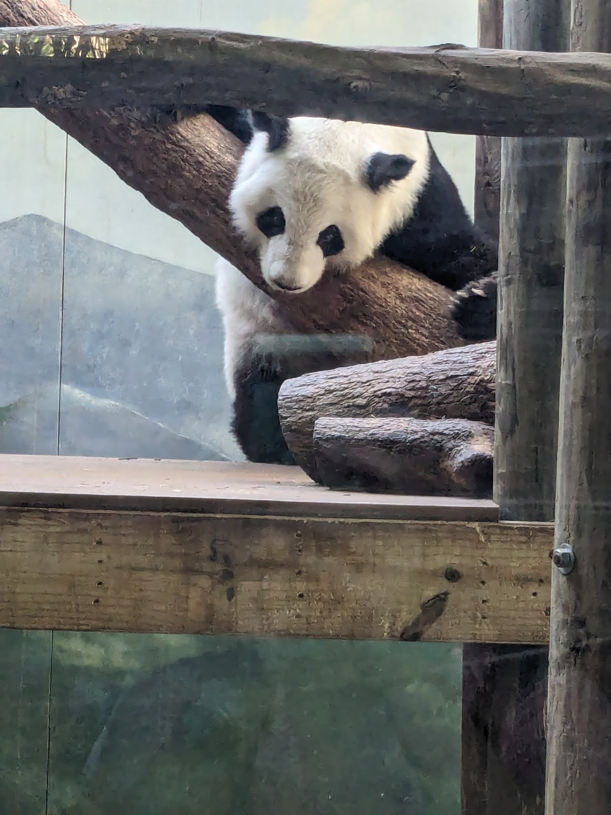 Zoo Atlanta Member Services Office