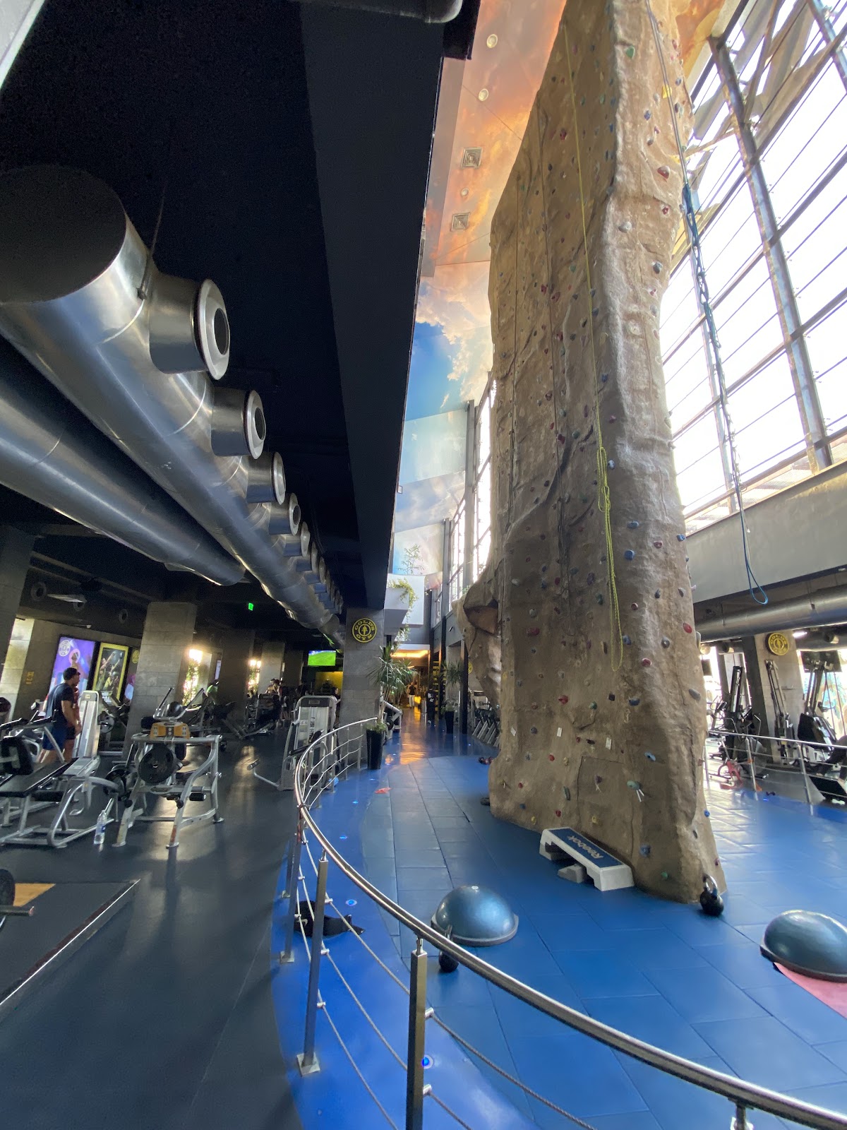 Gold's Gym Katameya 90