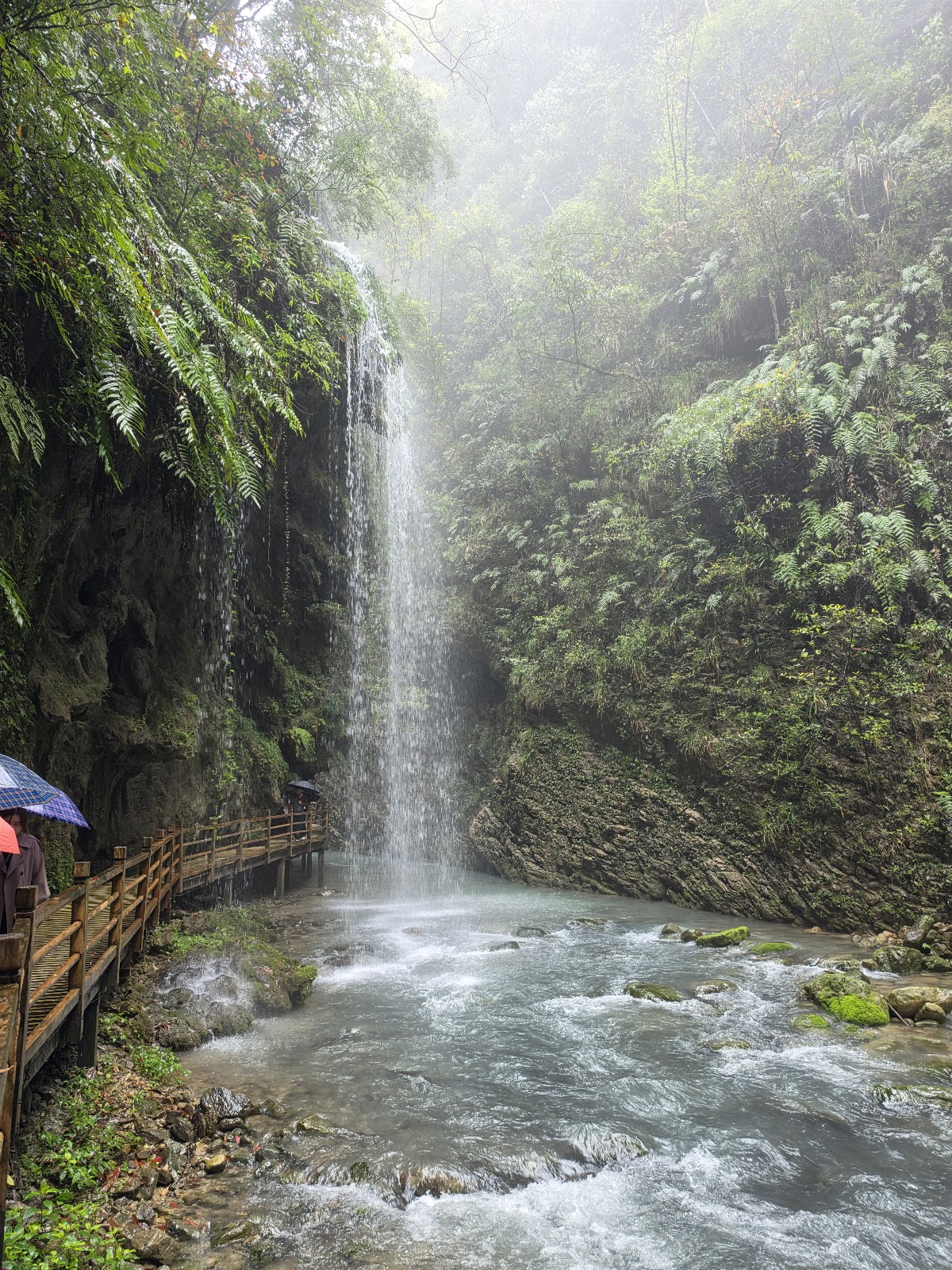 The Grand Canyon of Zhangjiajie