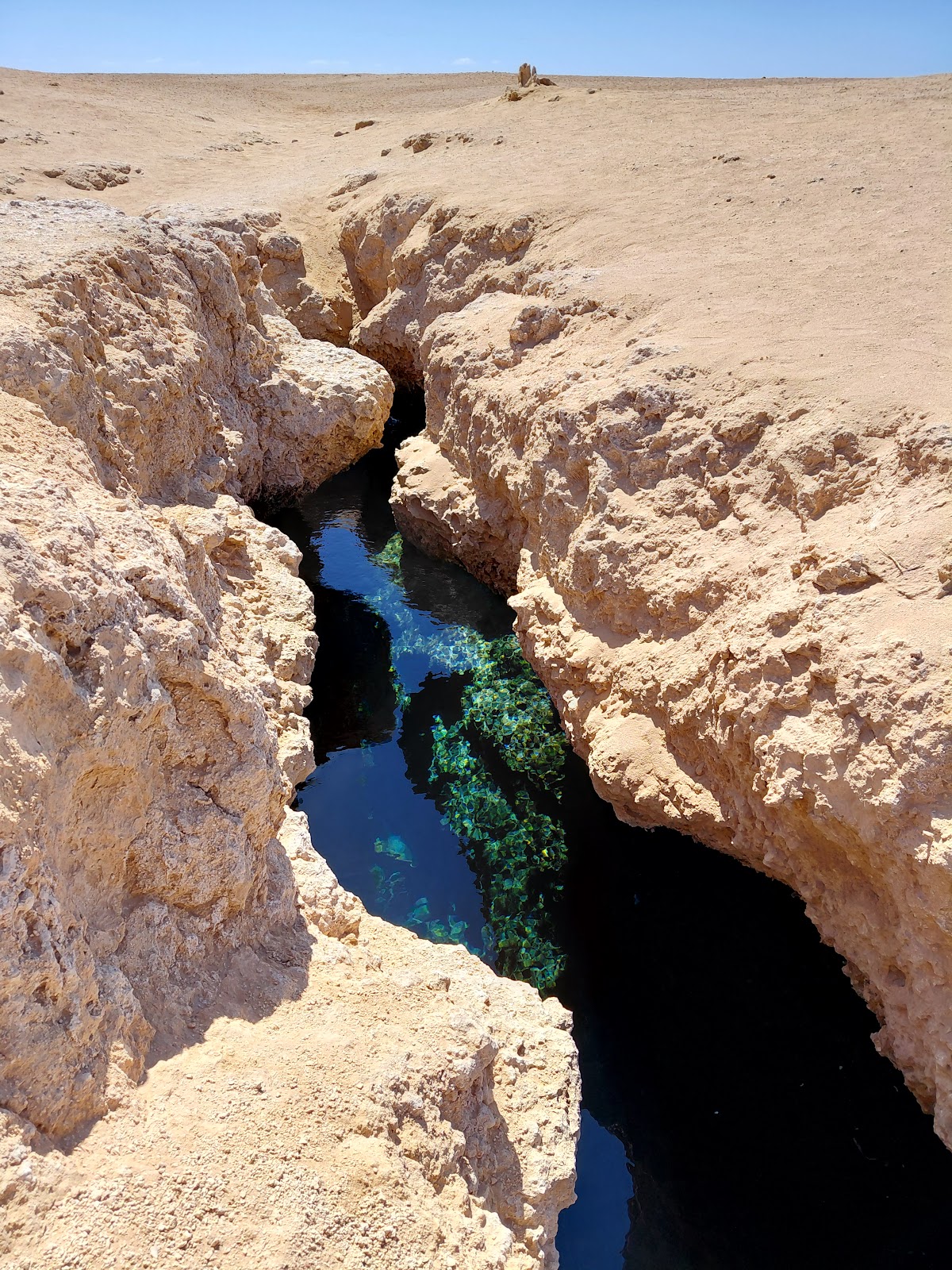 Ras Mohamed Nature Reserve