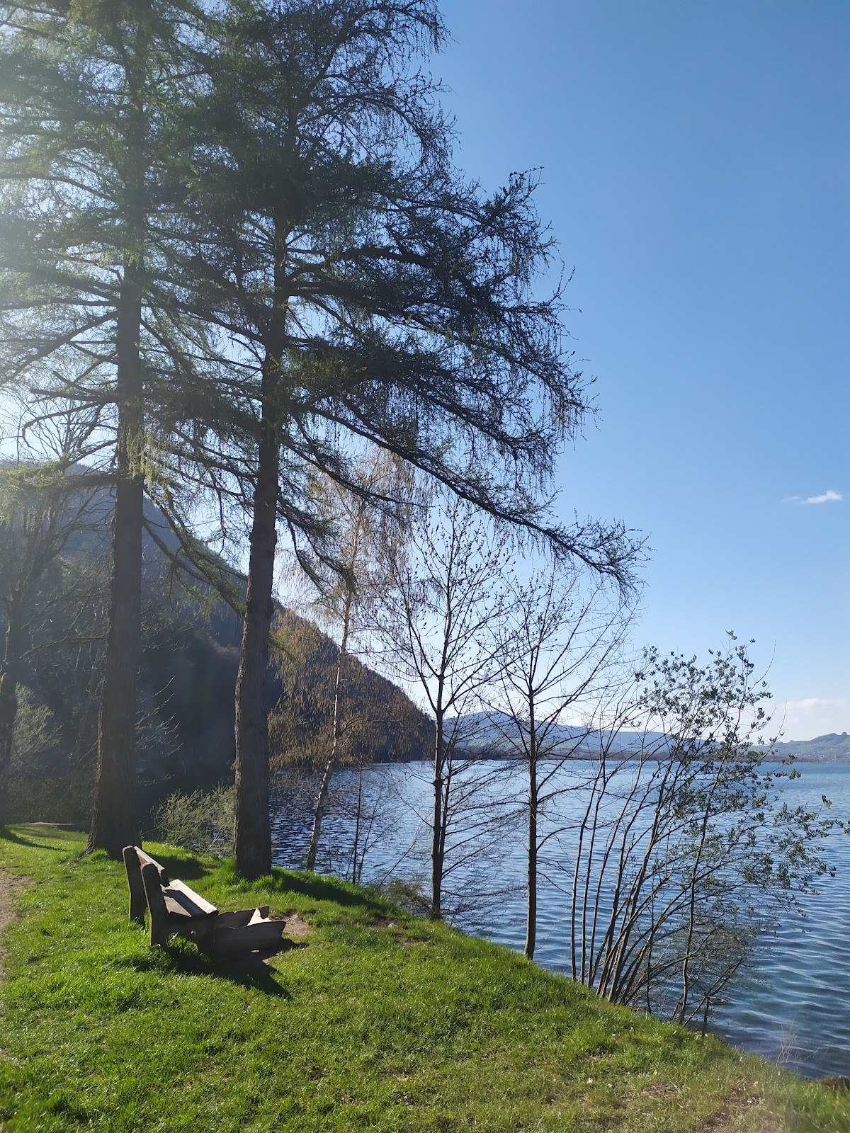 Mondsee lake view