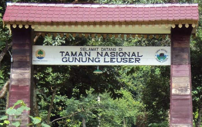 Mount Leuser National Park photo 2