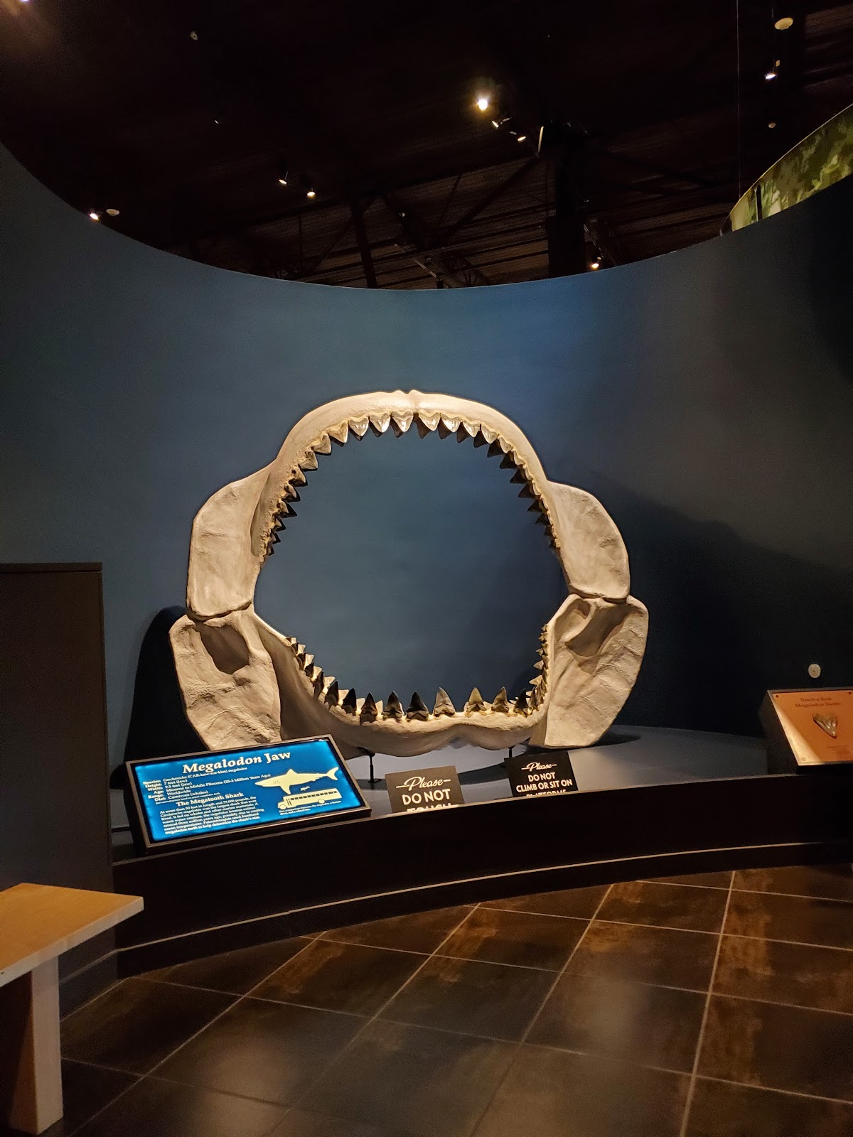 Tellus Science Museum