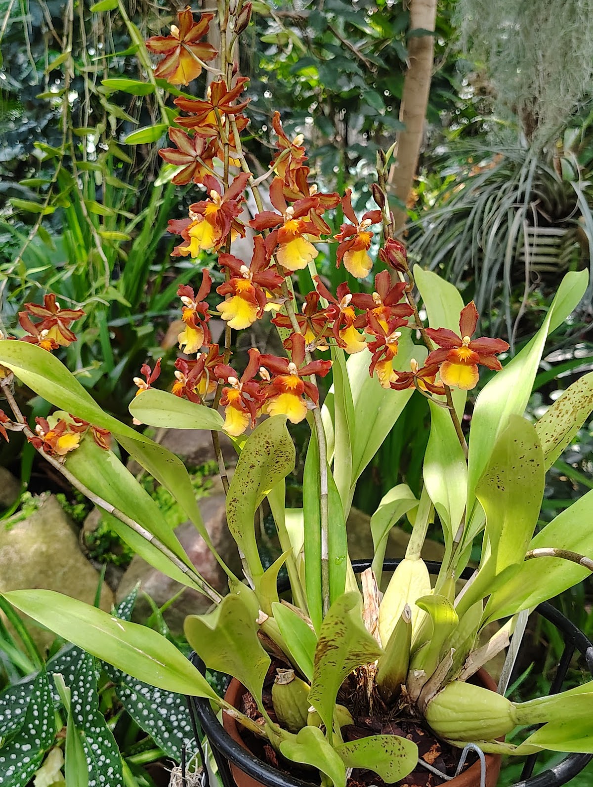 State Botanical Garden of Georgia Visitor Center