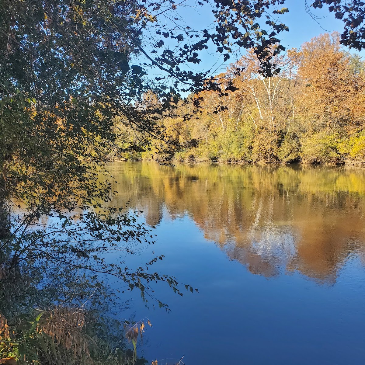 Chattahoochee Bend State Park