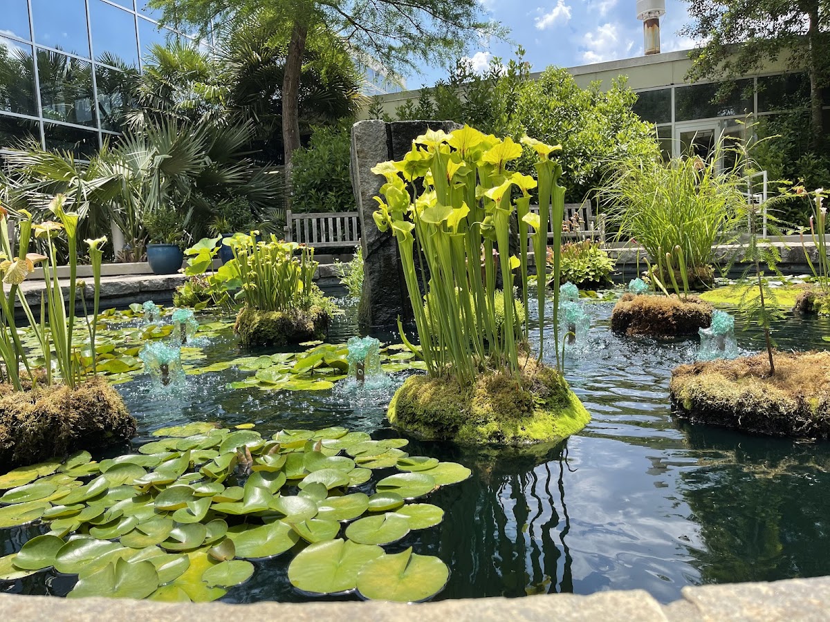 The State Botanical Garden of Georgia