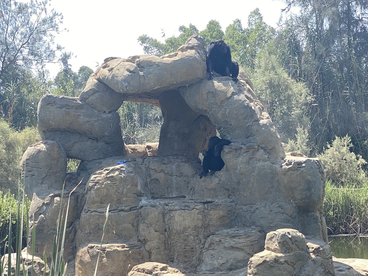 Africa Safari Park & Motel
