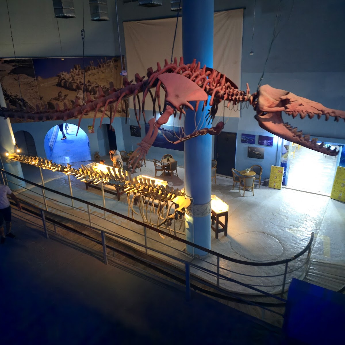 Hurghada Grand Aquarium
