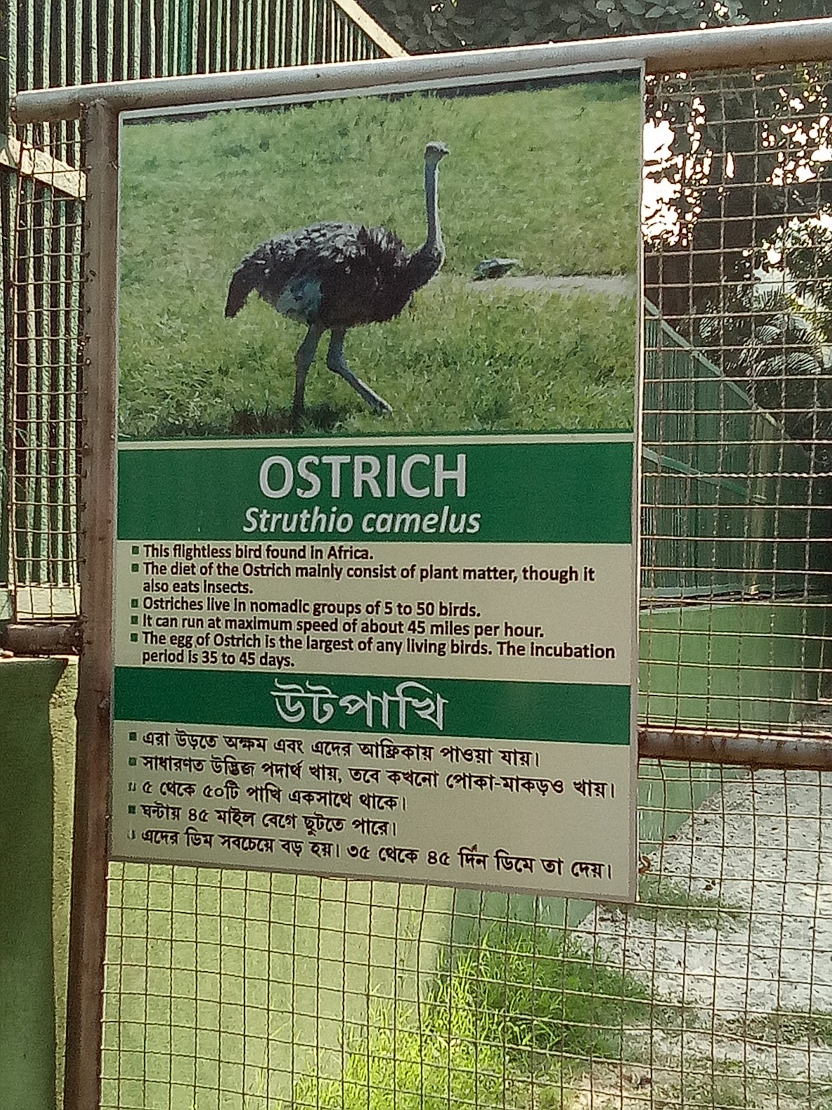 Zoological Garden Alipore