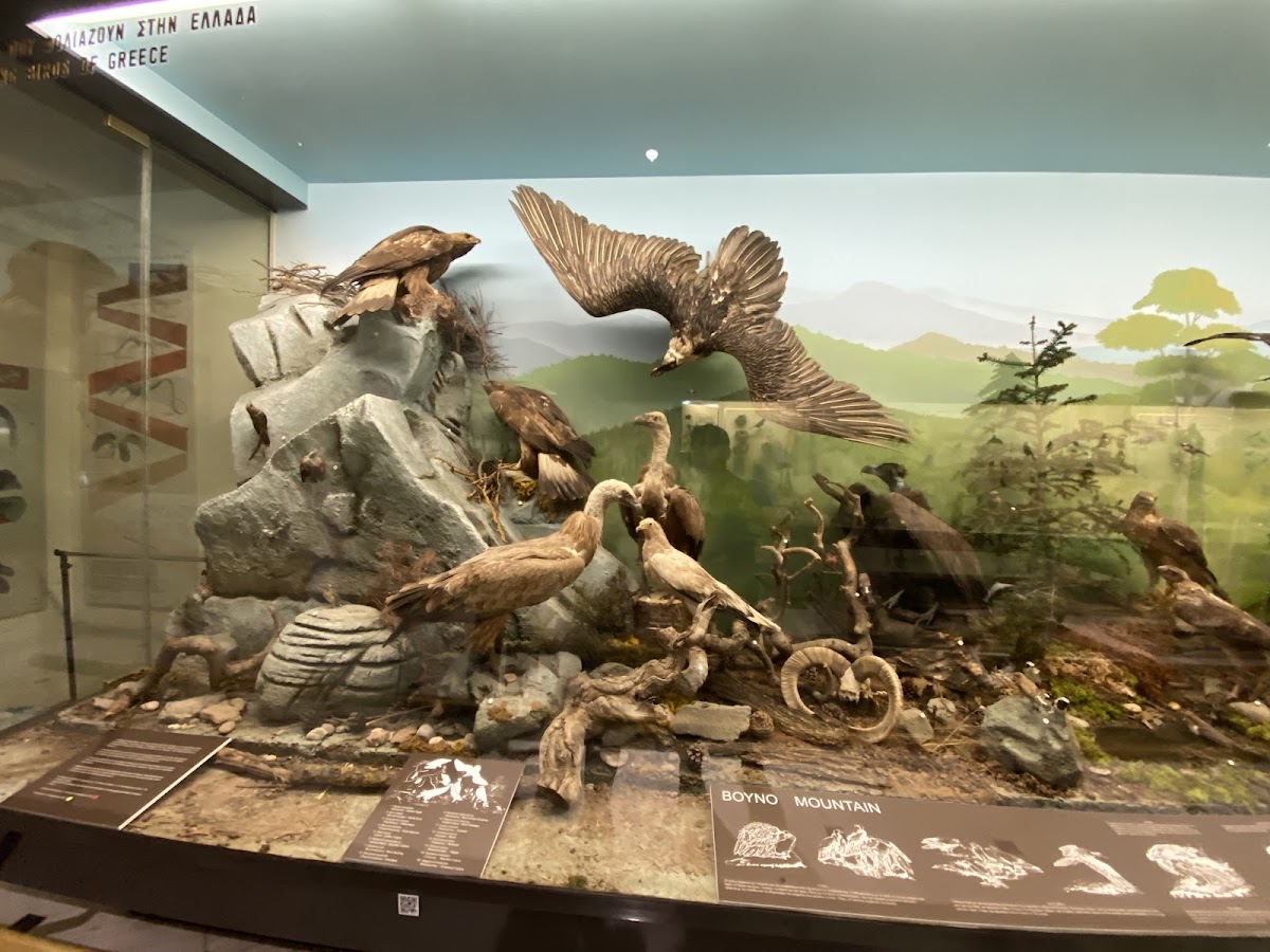 National Museum of Natural History Goulandris