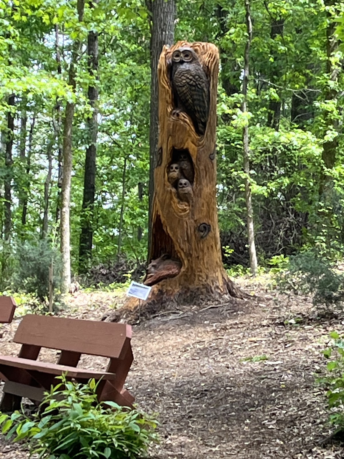 Hart County Botanical Garden