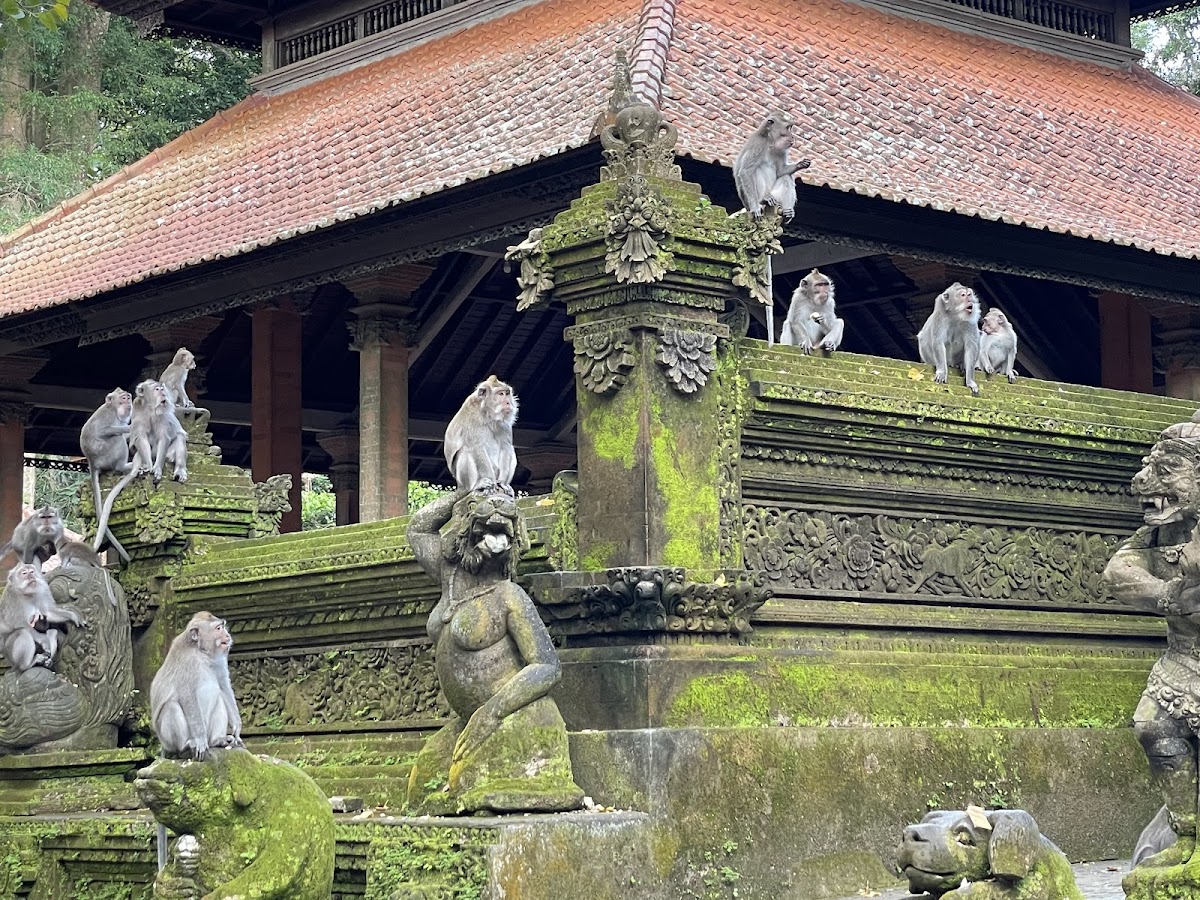 Sacred Monkey Forest Sanctuary