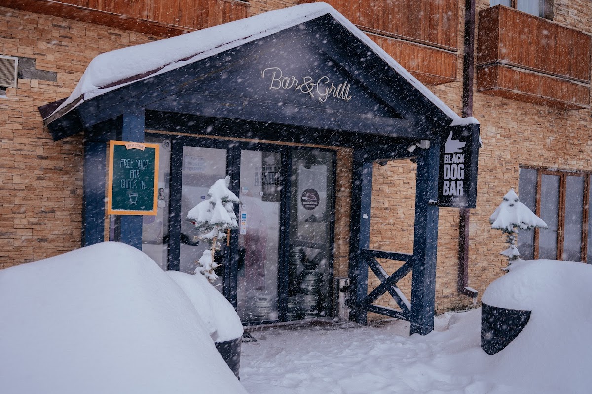 Black Dog Bar
