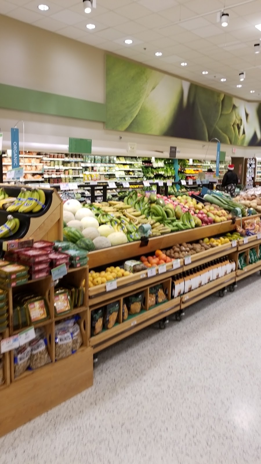 Publix Super Market at Mt. Zion