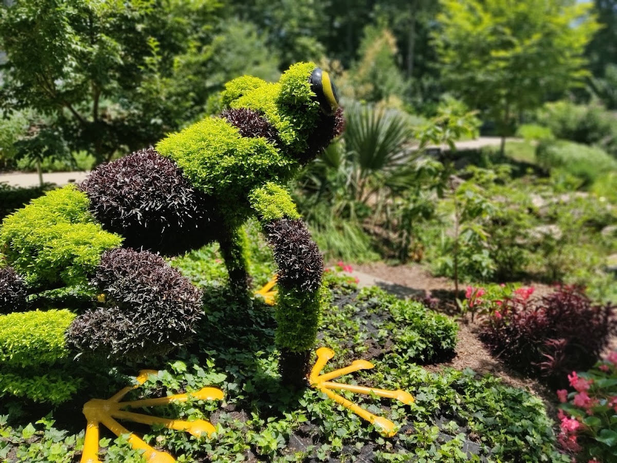Atlanta Botanical Garden, GAINESVILLE
