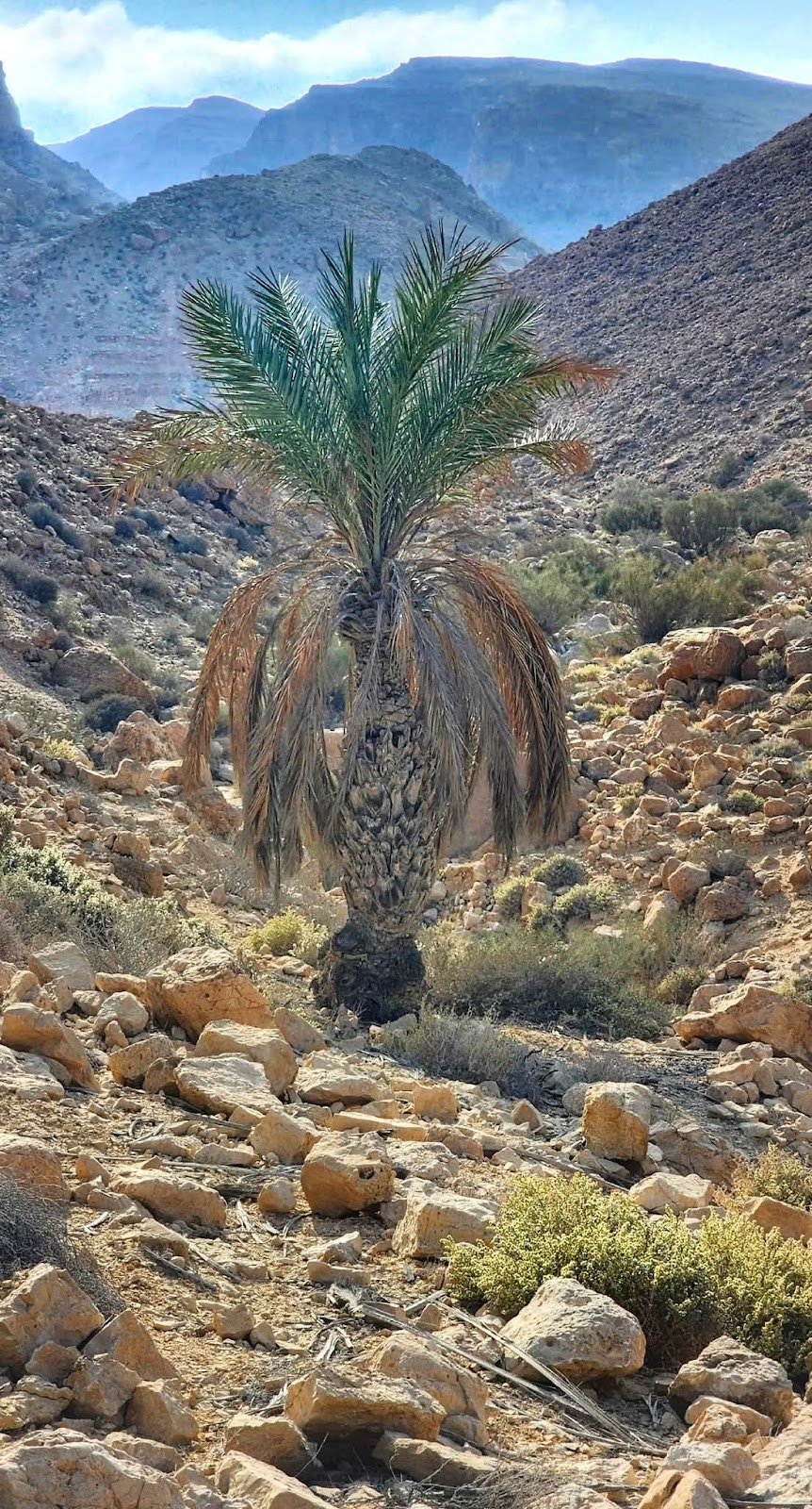 Mount Helal