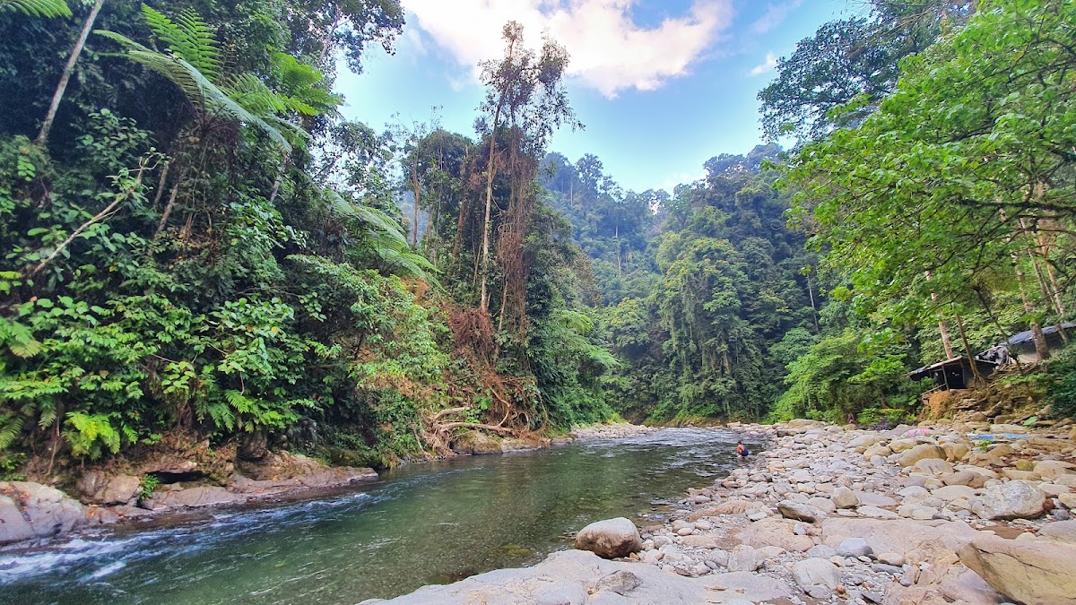 Mount Leuser National Park photo 3