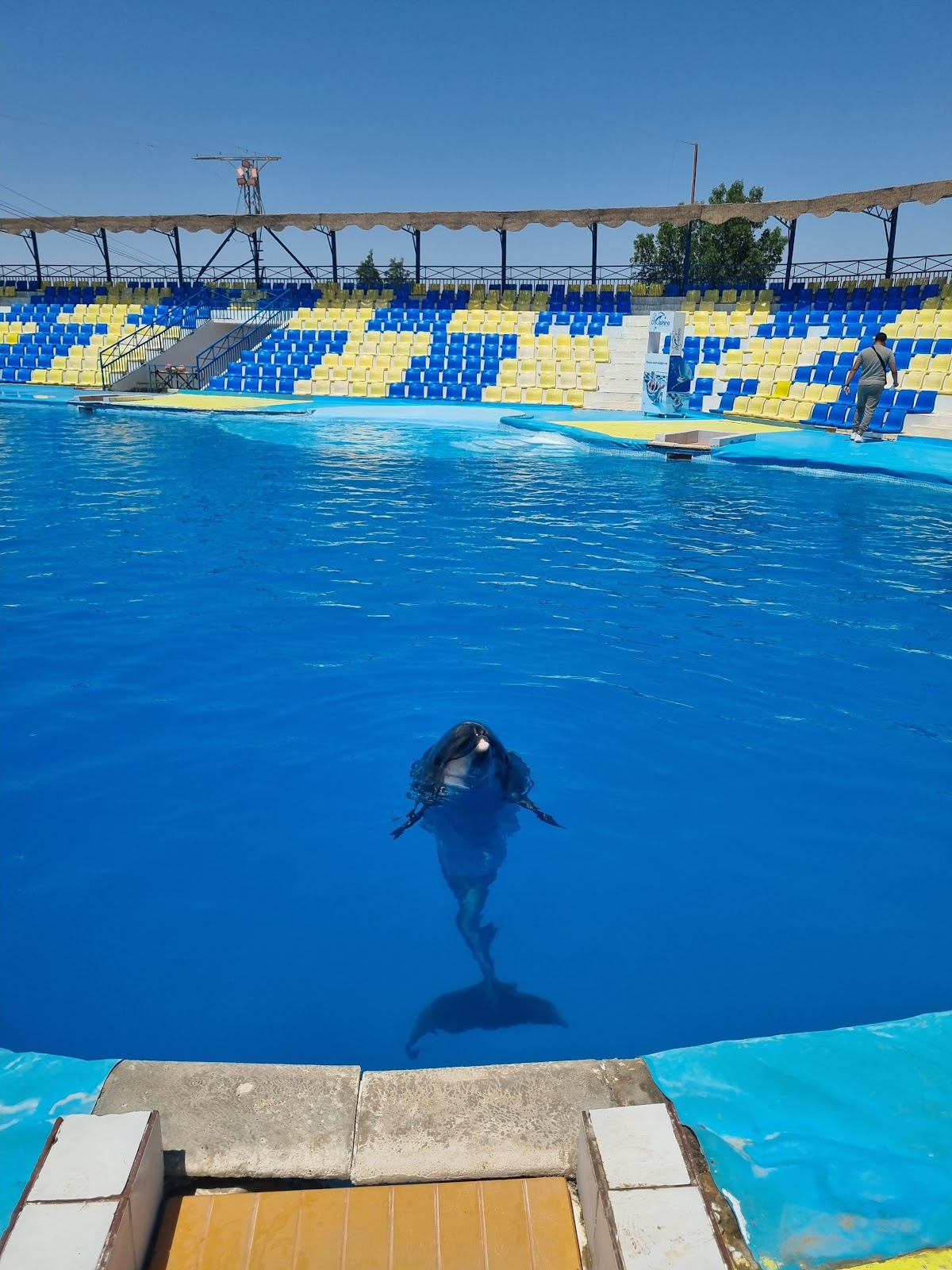 Dolphina Park
