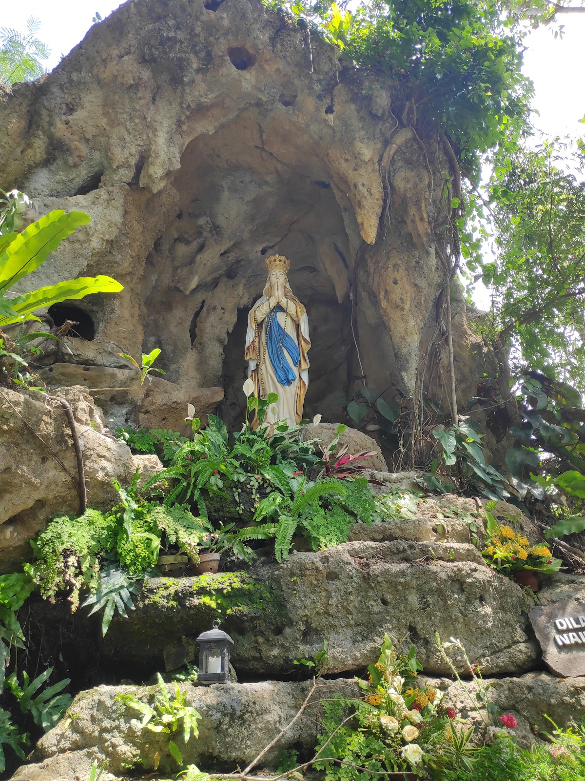 Sacred Heart of Jesus Catholic Church