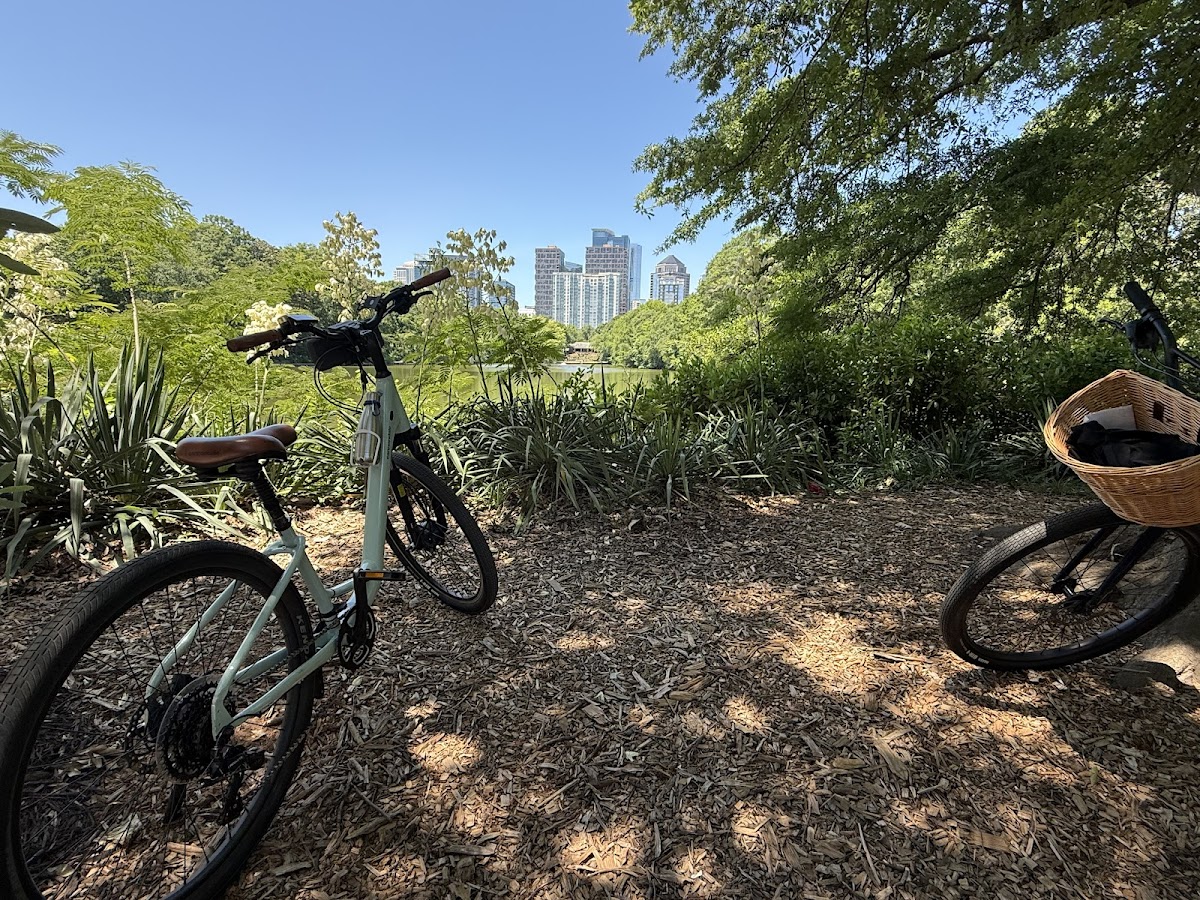 Musette - Bike Rentals by Delivery