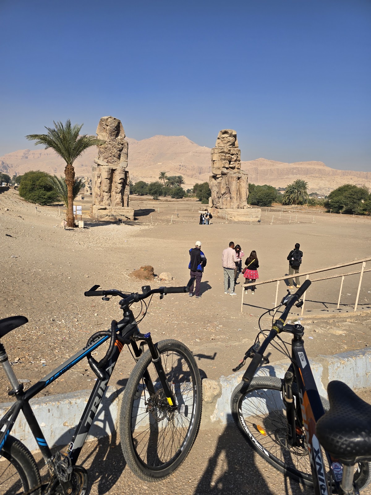 Bicycle Rental Mohamed Setouhy