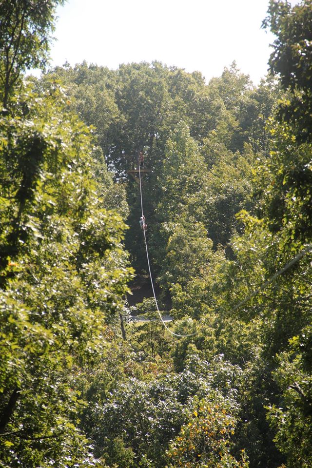 Amicalola Falls State Park & Lodge