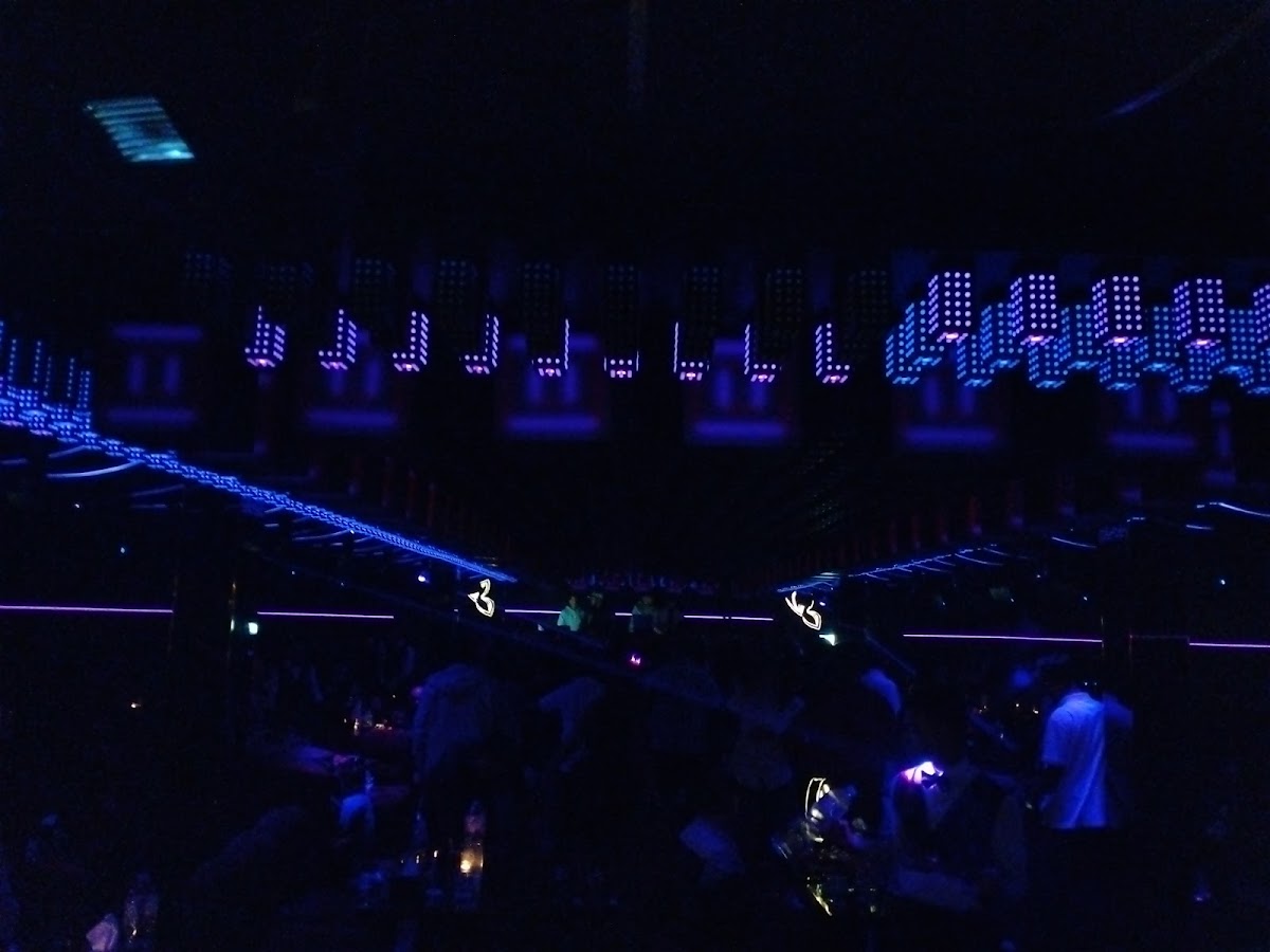 Night club Disco Khalijy and after party