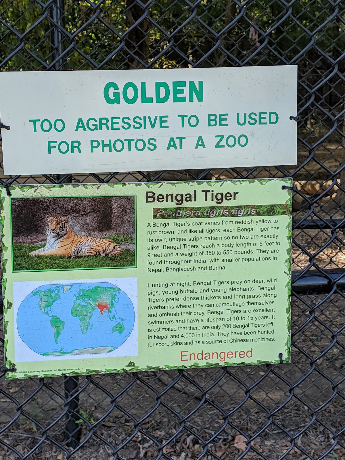 Noah's Ark Animal Sanctuary