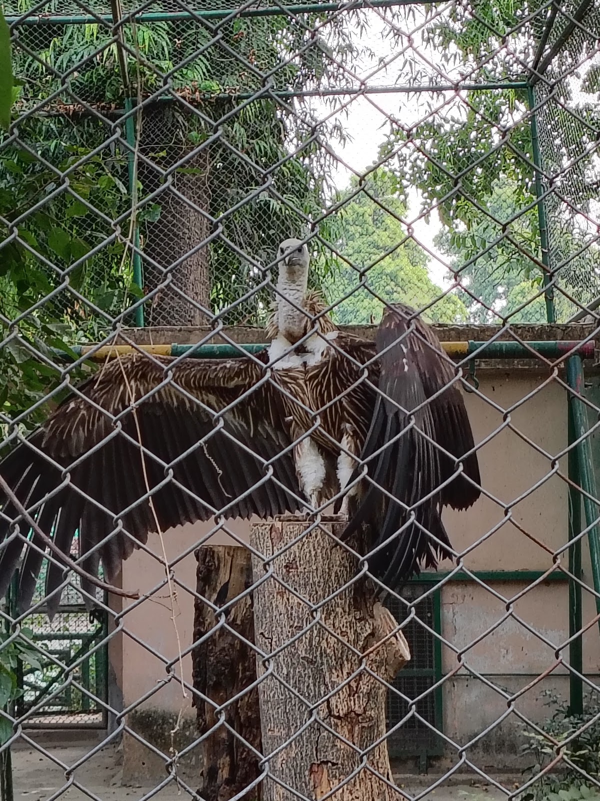 Nawab Wajid Ali Shah Zoological Garden