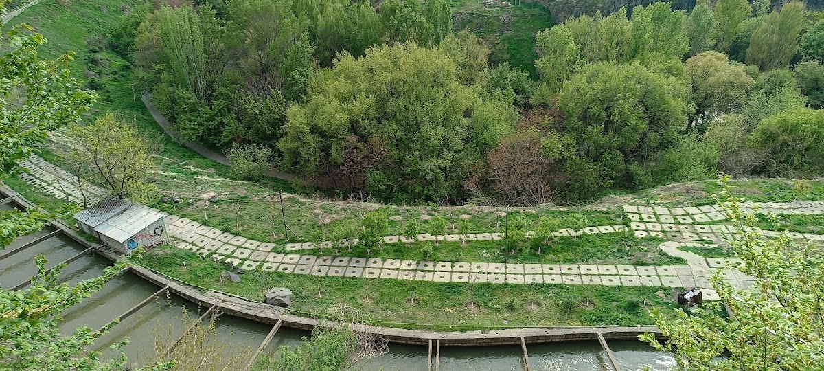 Հանգստի գոտի