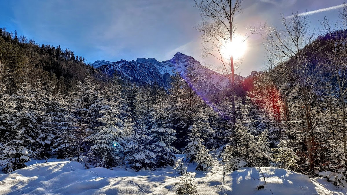 Upper Austrian Prealps