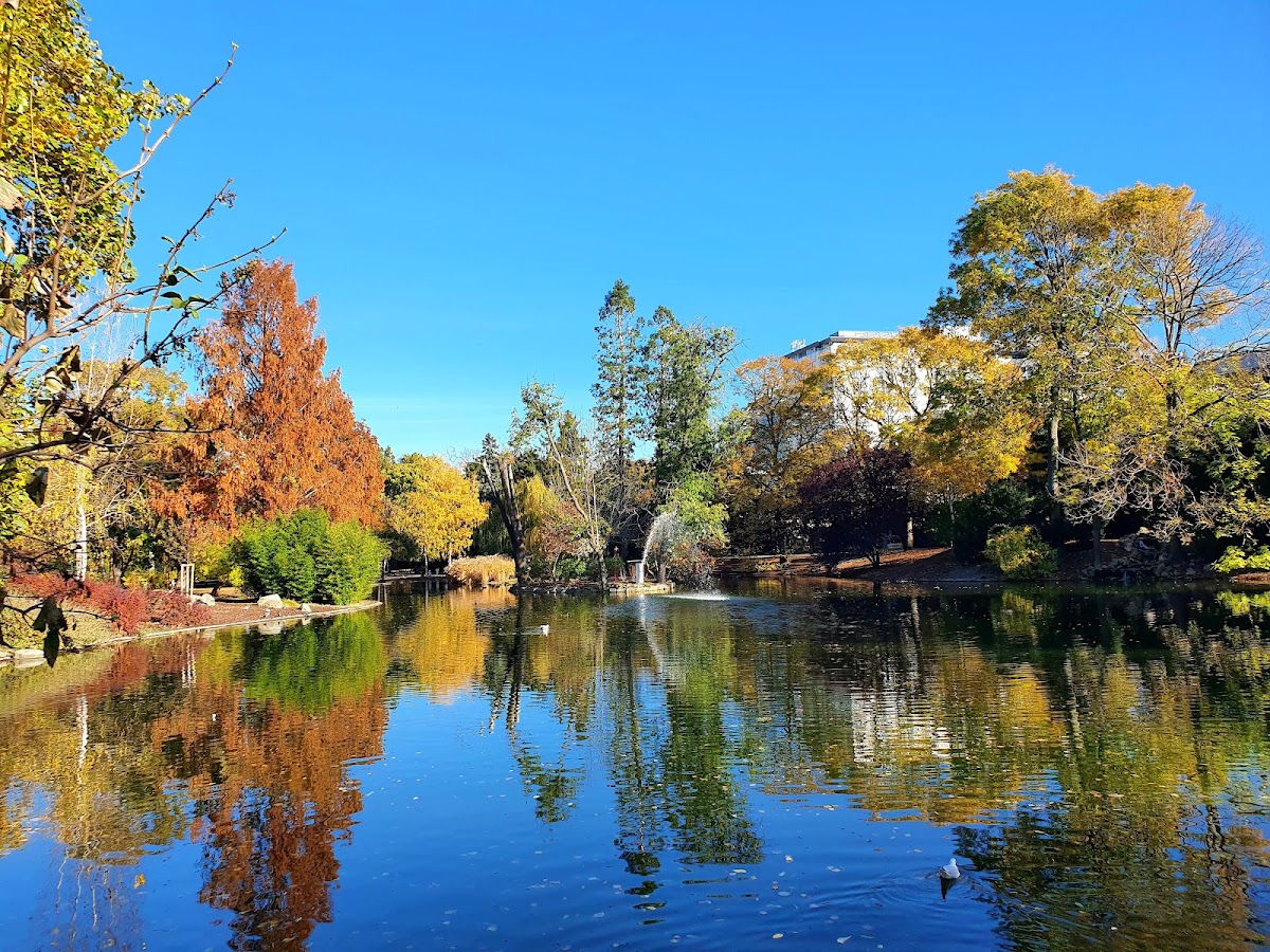 Stadtpark
