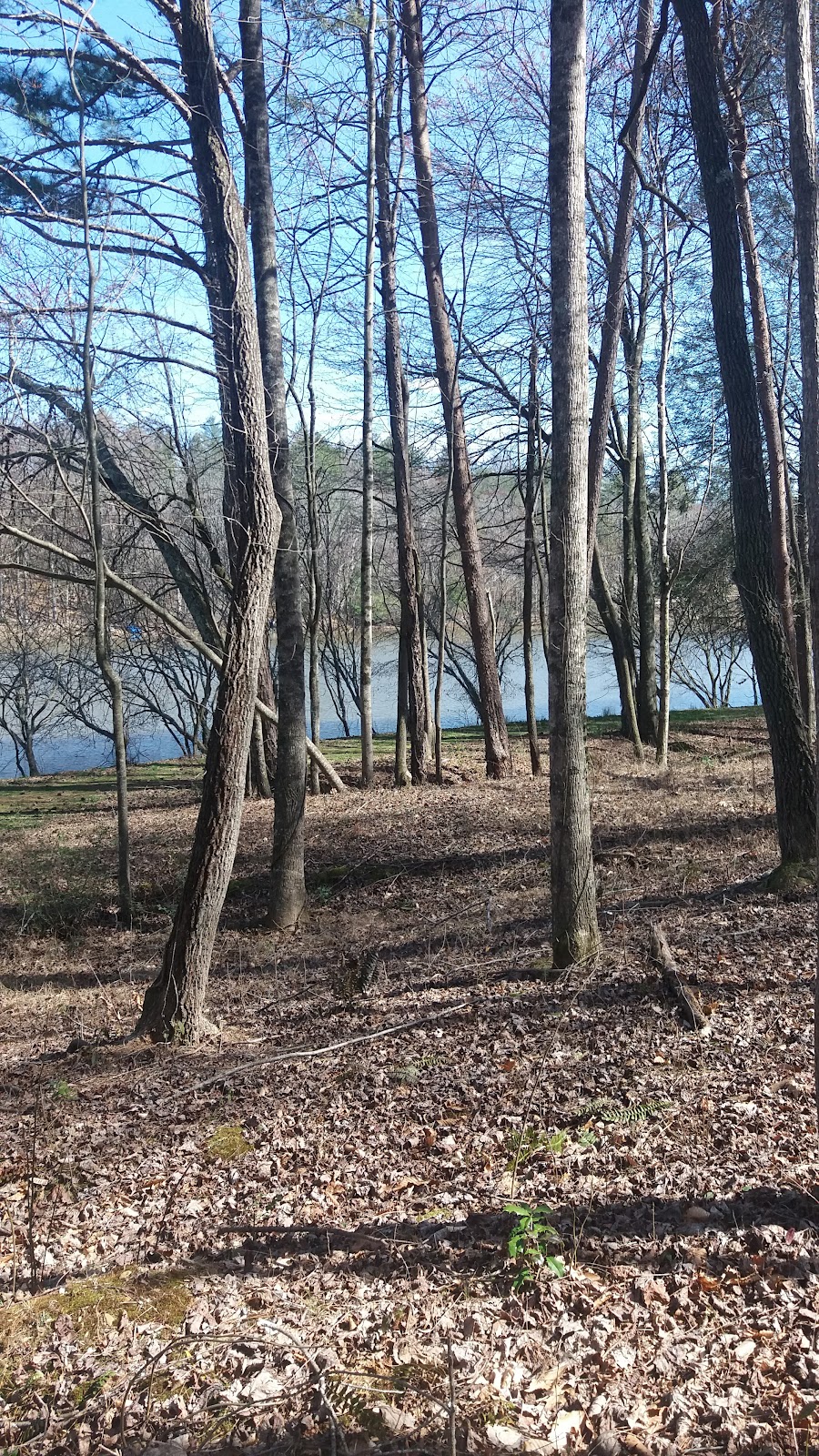 Lake Buckhorn