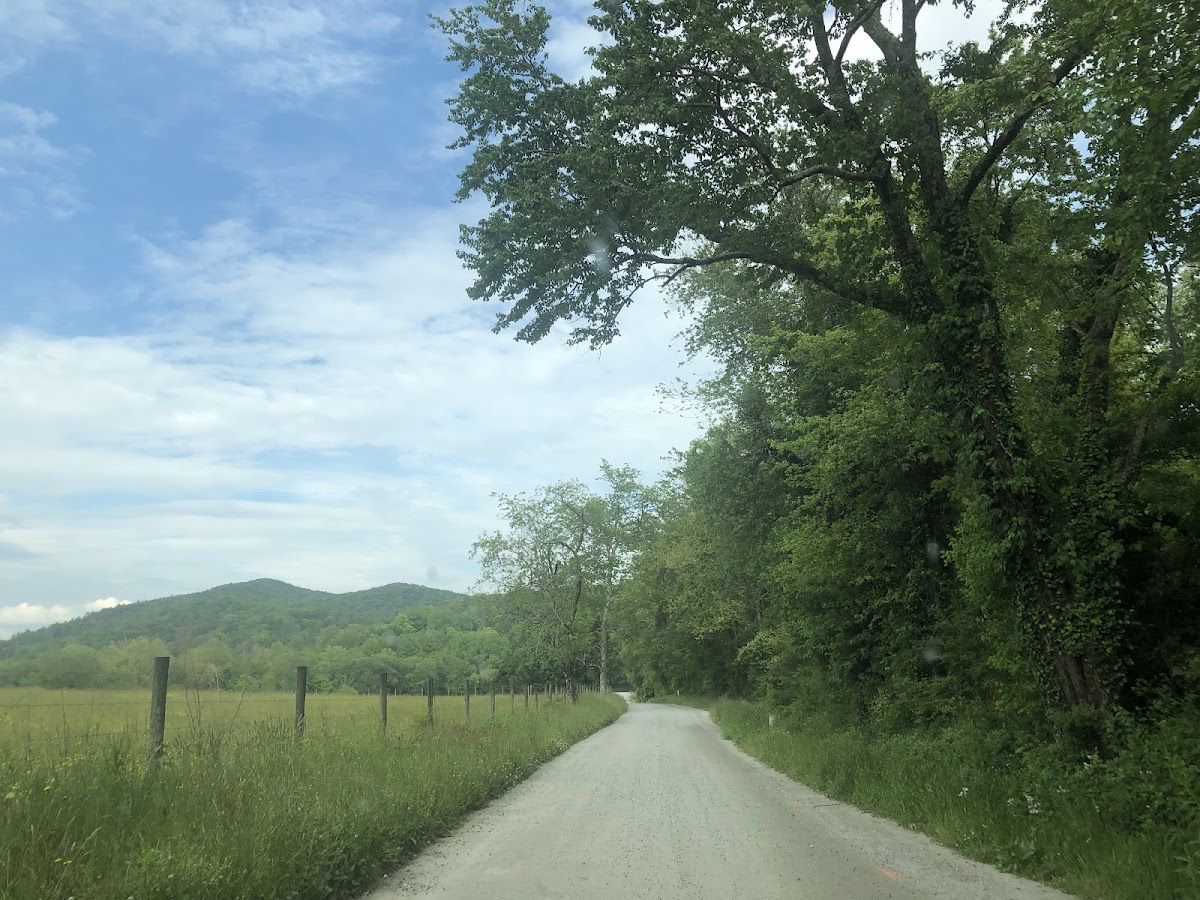 Lynch Mountain