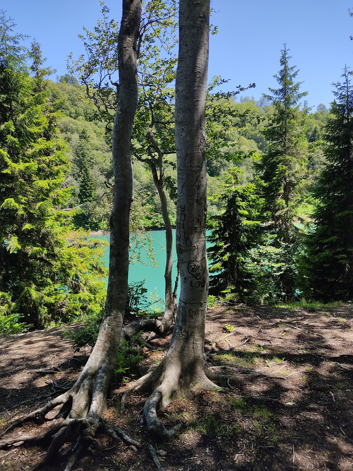 Mtsvane Lake