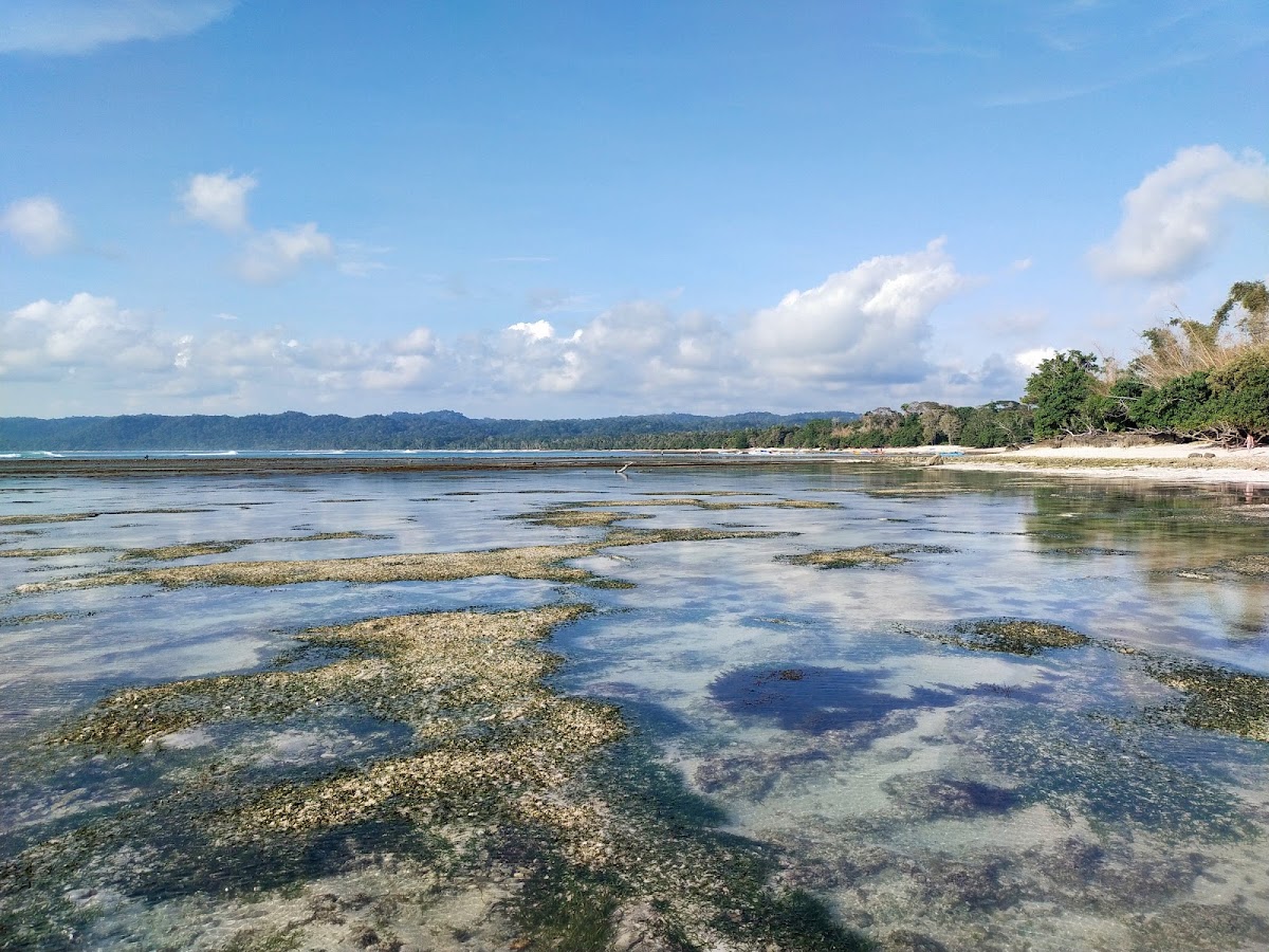 Alas Purwo National Park