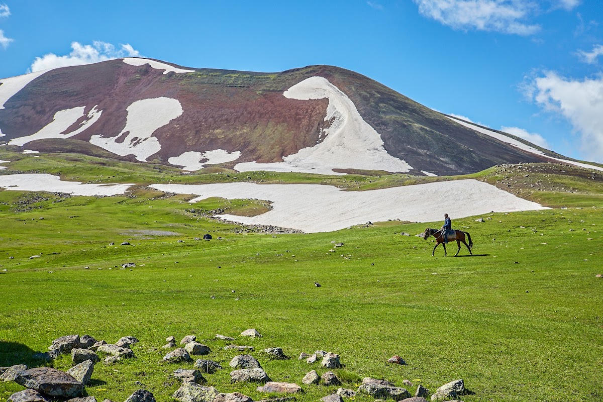 Highland Hostel & Tours