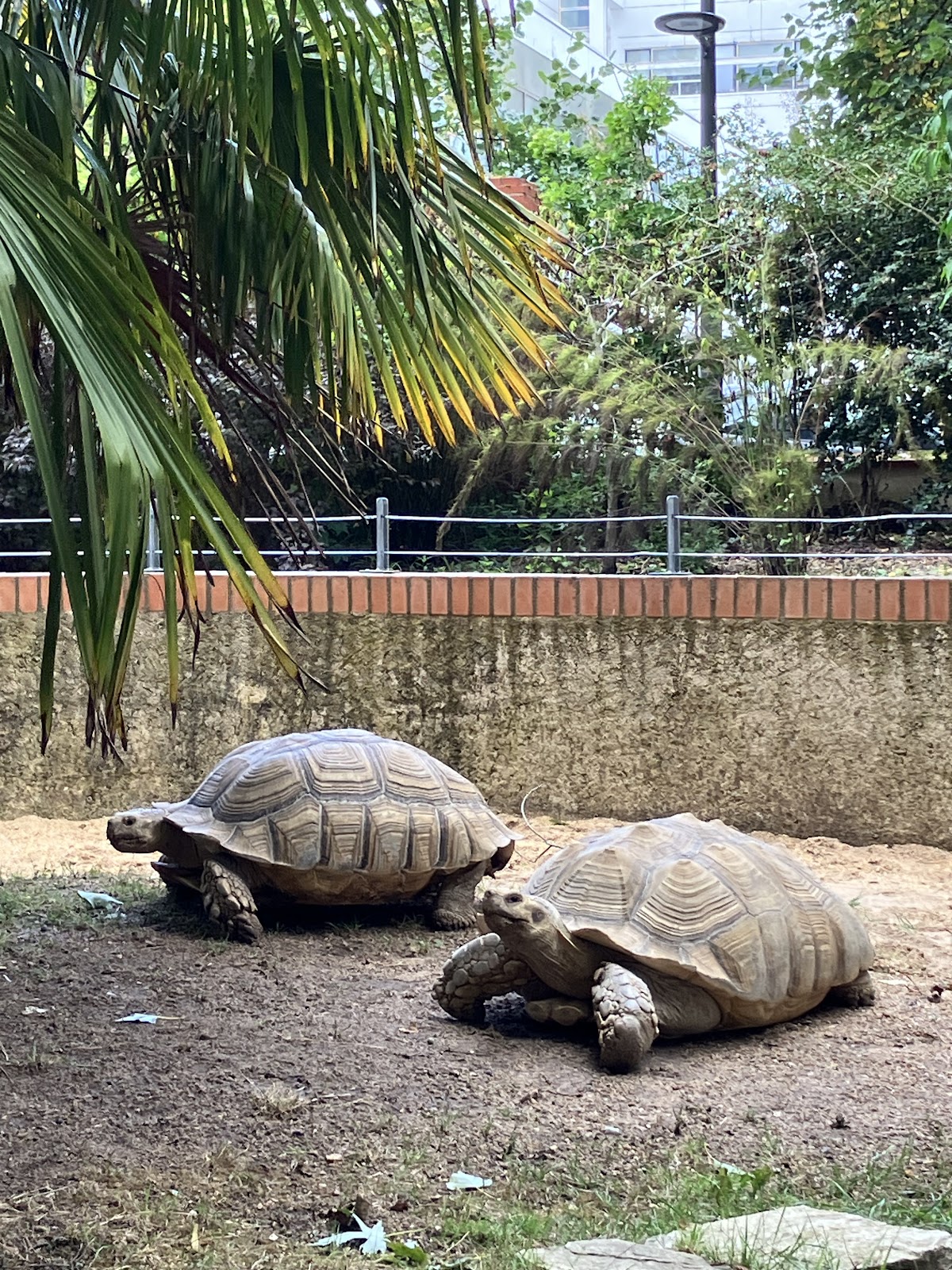 Jardin botanique de Tours