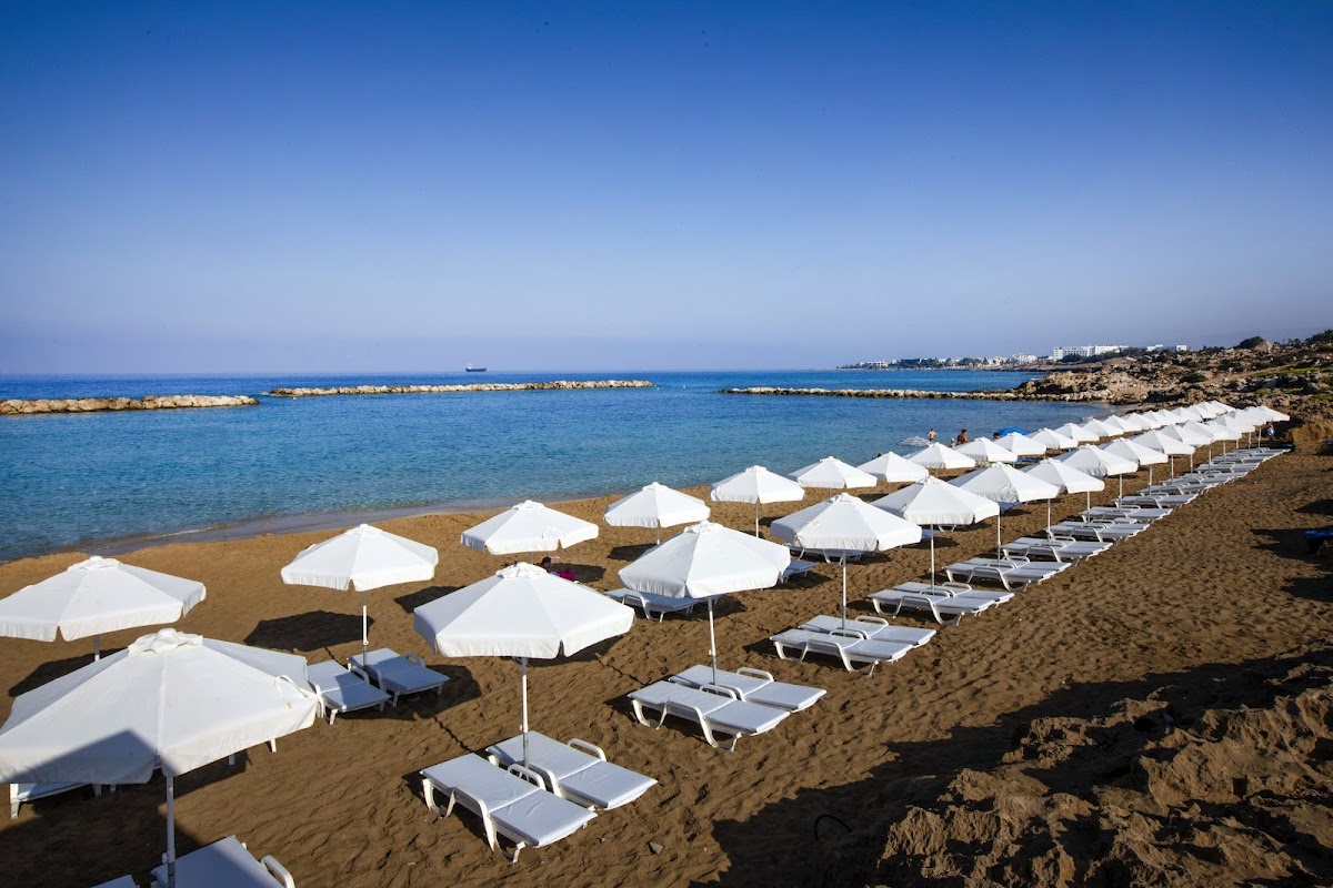 Venus Beach Hotel
