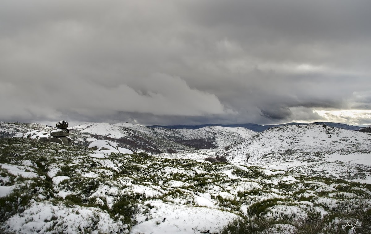 Mont Lozère
