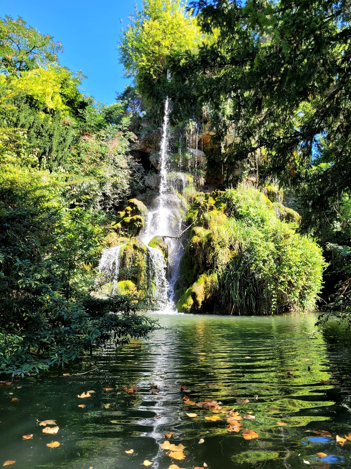 Parc Bagatelle - la Roseraie
