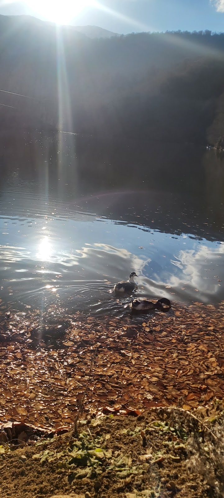 Lake Parz