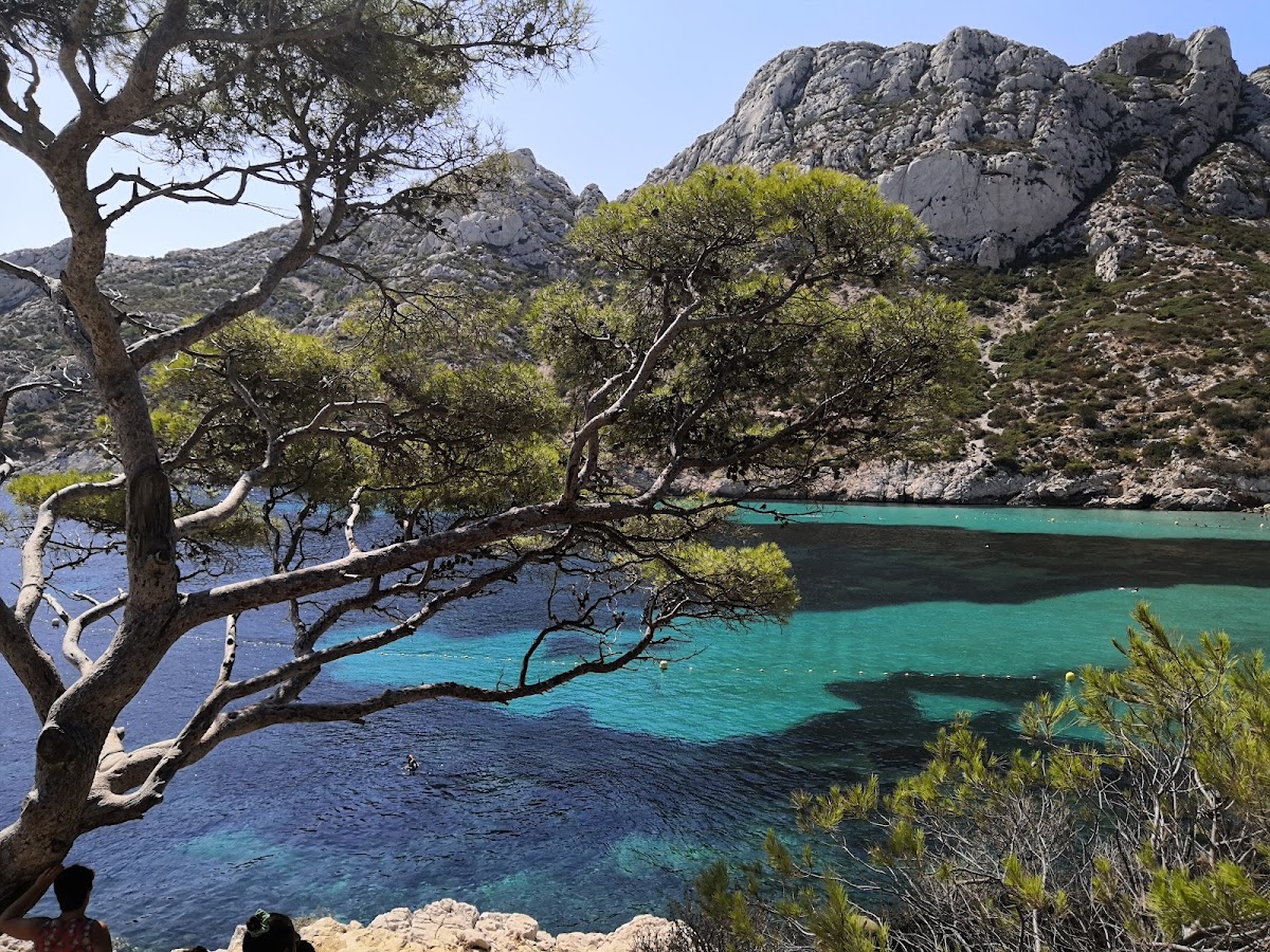 Parc national des Calanques